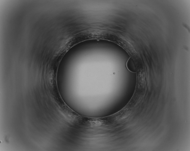 X0000091850698200709121311