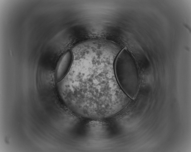 X0000091850699200709121311