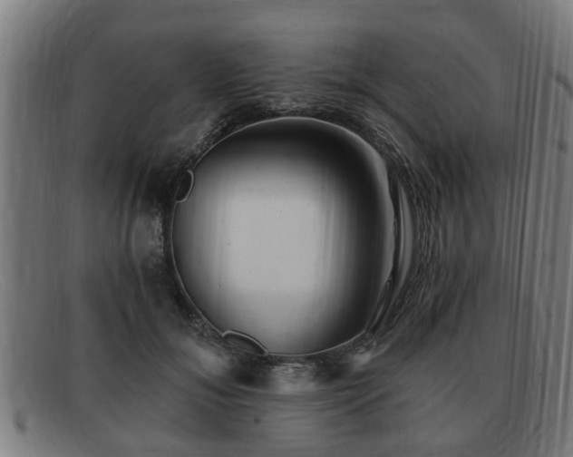 X0000091850700200709121311