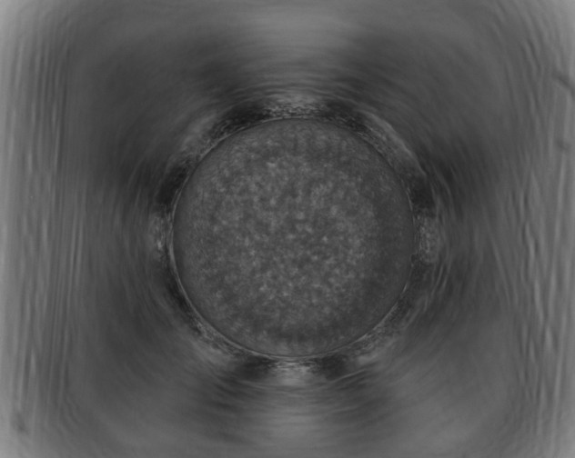 X0000091850701200709121311