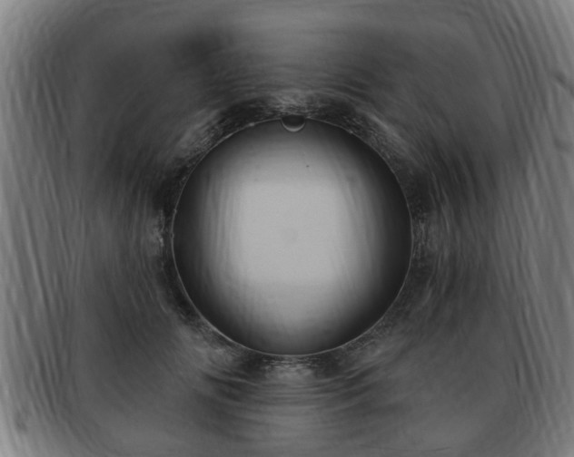 X0000091850702200709121311
