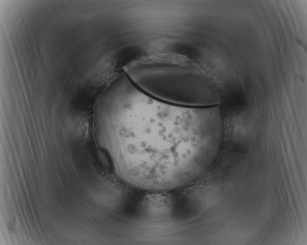 X0000091850703200709121311