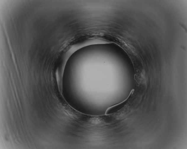 X0000091850704200709121311
