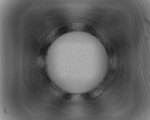 X0000091850705200709121311
