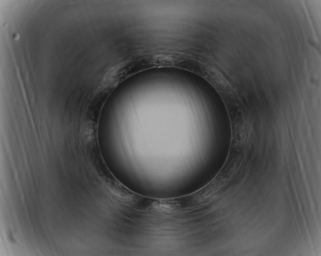 X0000091850706200709121311