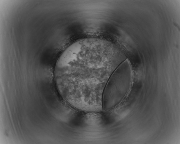 X0000091850707200709121311