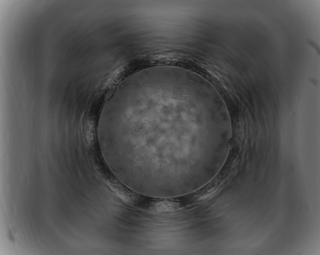 X0000091850708200709121311