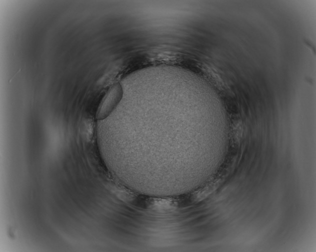 X0000091850709200709121311