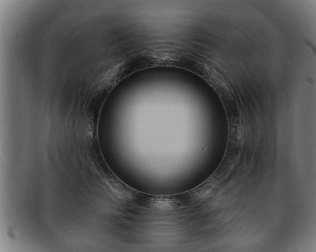 X0000091850710200709121311