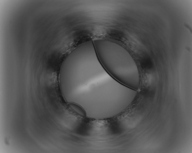 X0000091850711200709121311