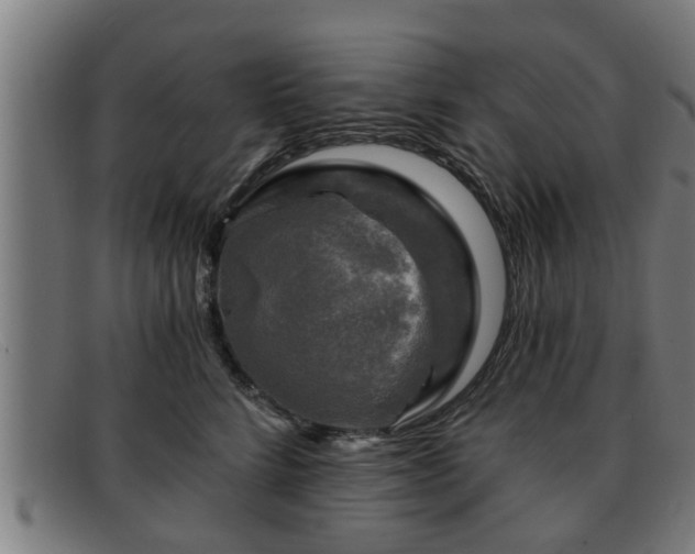 X0000091850712200709121311