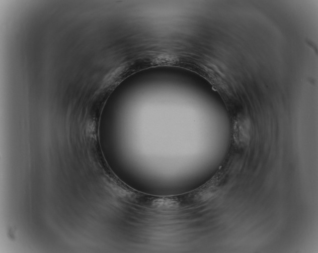 X0000091850714200709121310