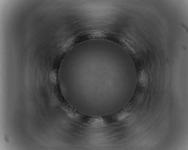X0000091850715200709121310