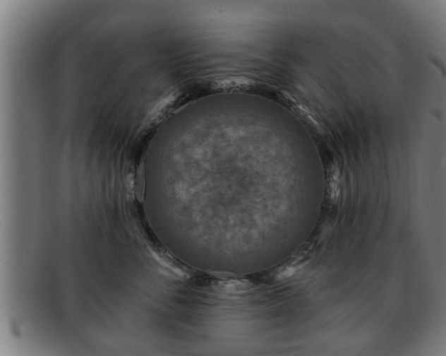 X0000091850716200709121310