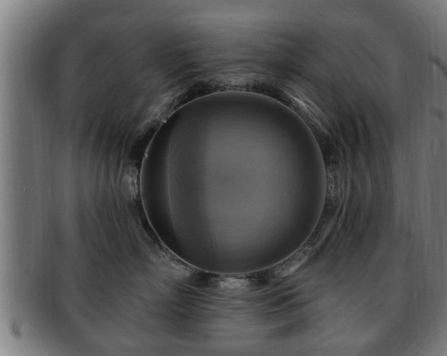 X0000091850718200709121310