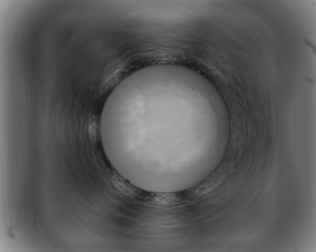 X0000091850720200709121310