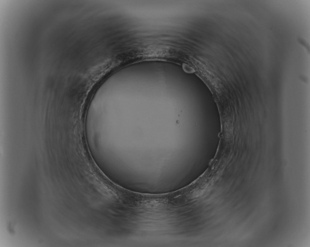 X0000091850721200709121310