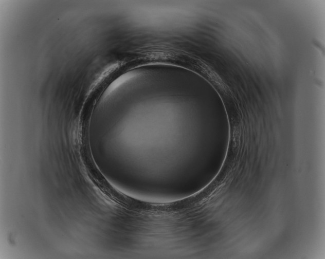 X0000091850722200709121310