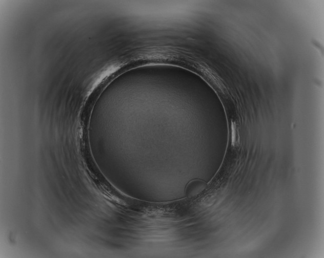 X0000091850723200709121310