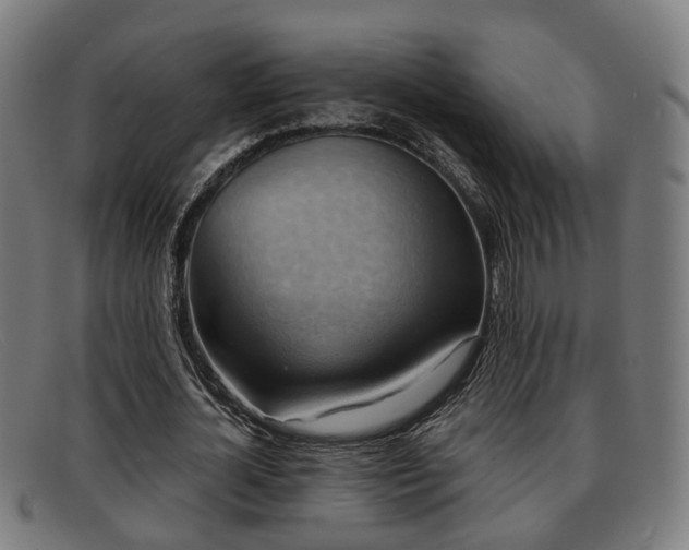 X0000091850724200709121310