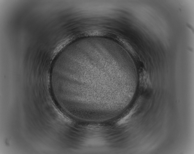 X0000091850725200709121310