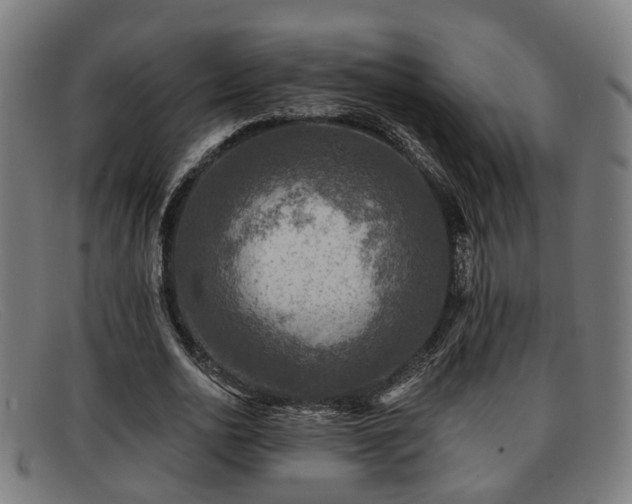 X0000091850726200709121310