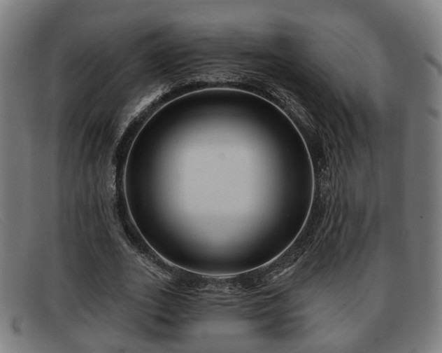 X0000091850727200709121310
