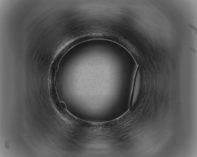 X0000091850728200709121310