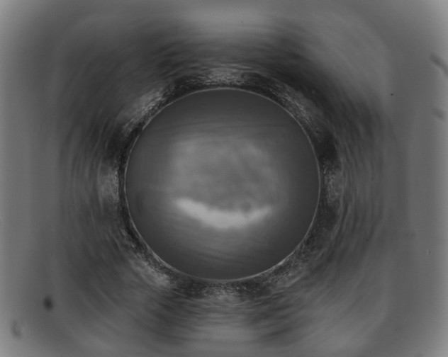 X0000091850729200709121310