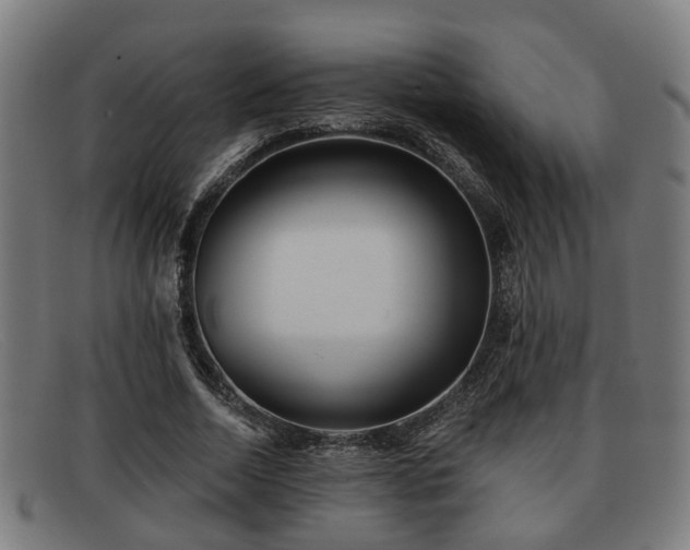 X0000091850730200709121310