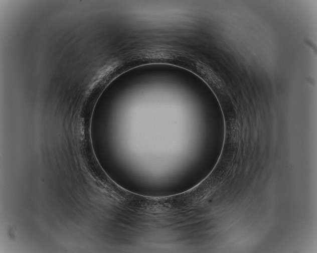 X0000091850731200709121310