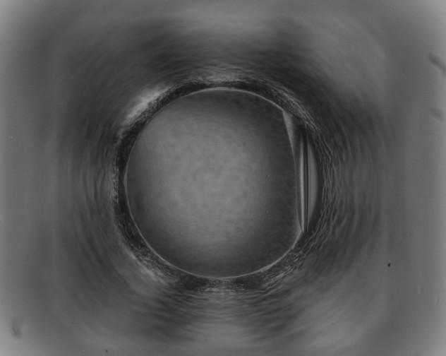 X0000091850732200709121310