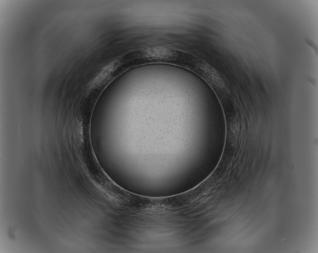 X0000091850734200709121310