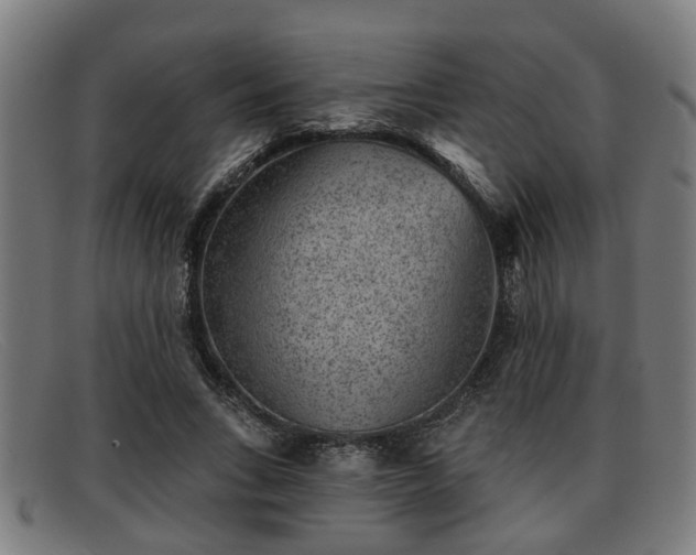 X0000091850735200709121310