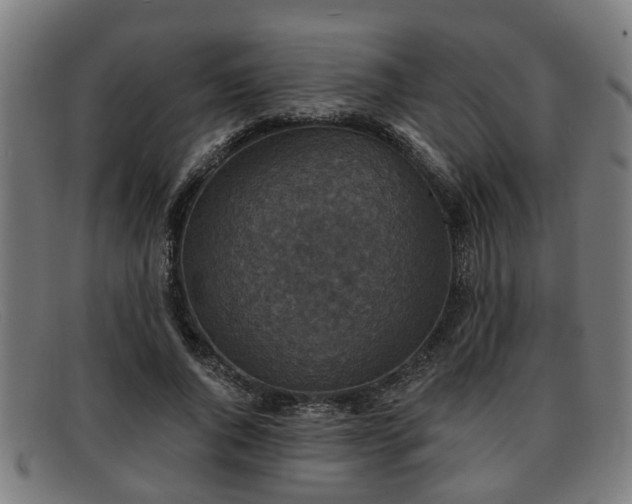 X0000091850736200709121310