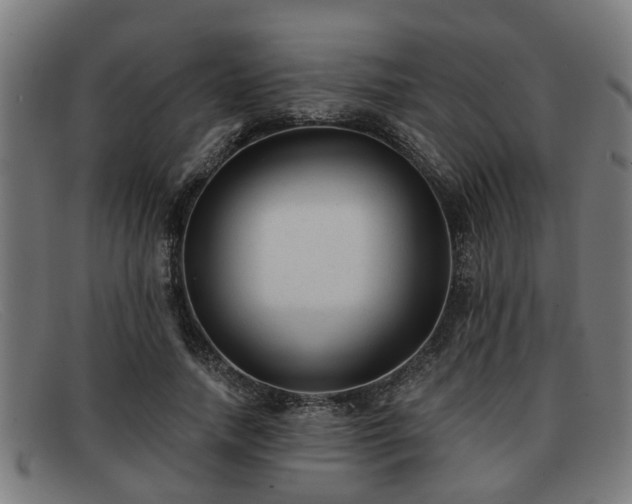 X0000091850738200709121310