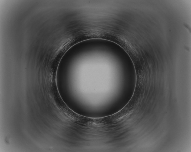 X0000091850739200709121310