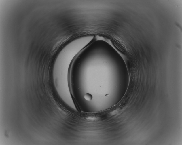 X0000091850740200709121310
