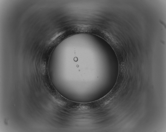 X0000091850741200709121310