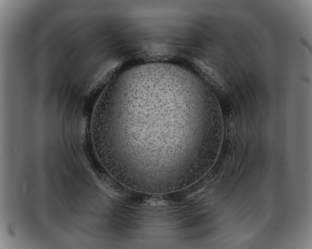 X0000091850742200709121310