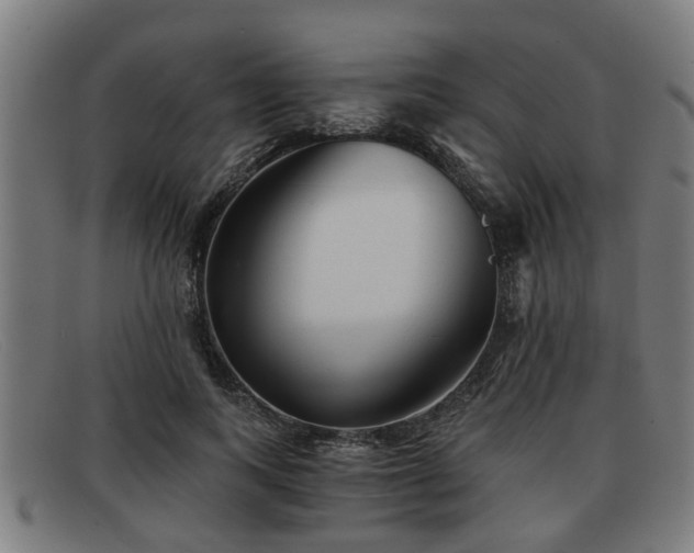 X0000091850743200709121310