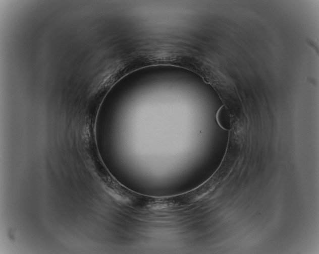 X0000091850746200709121310