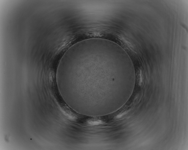 X0000091850747200709121310