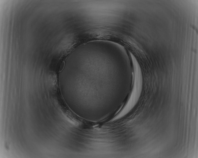 X0000091850748200709121310