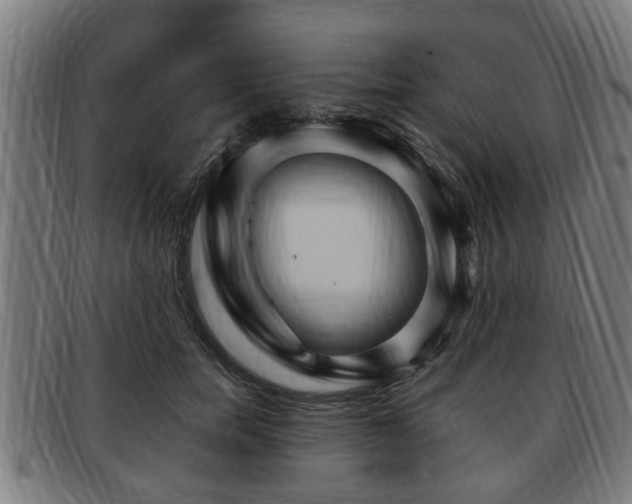 X0000091850750200709121310