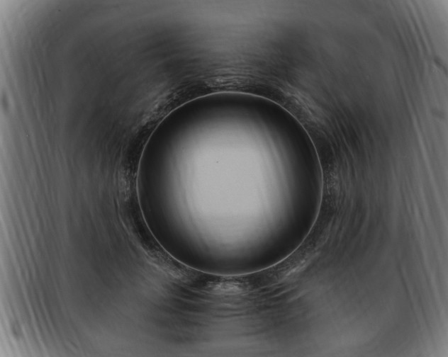 X0000091850751200709121310