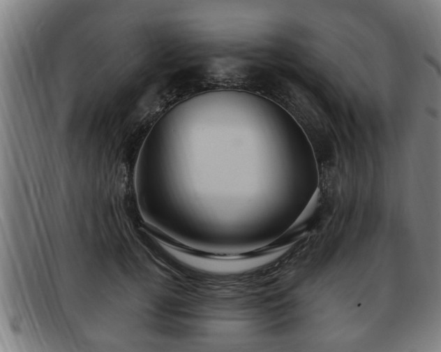 X0000091850752200709121310