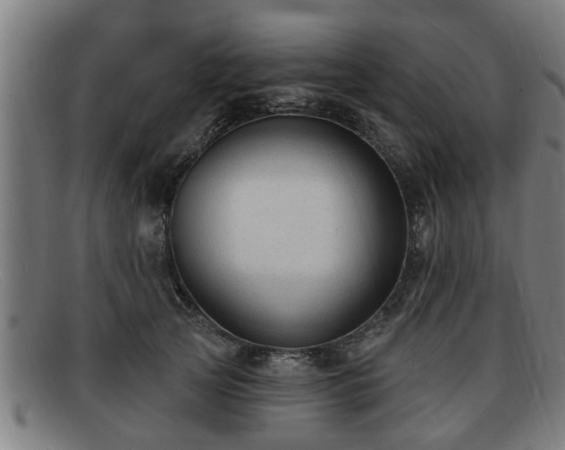 X0000091850753200709121310