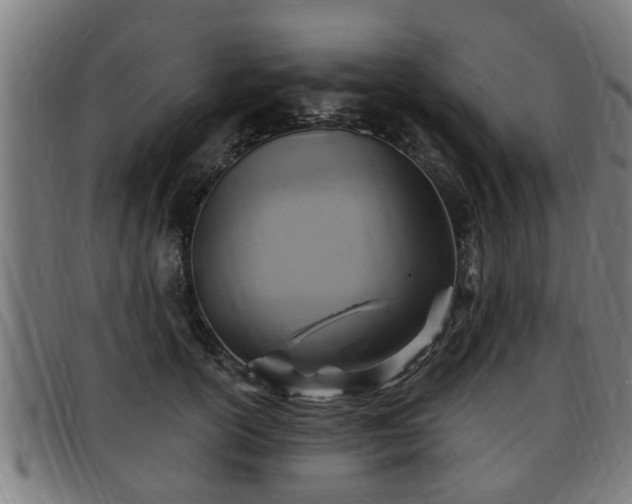 X0000091850754200709121310