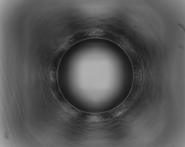 X0000091850755200709121310